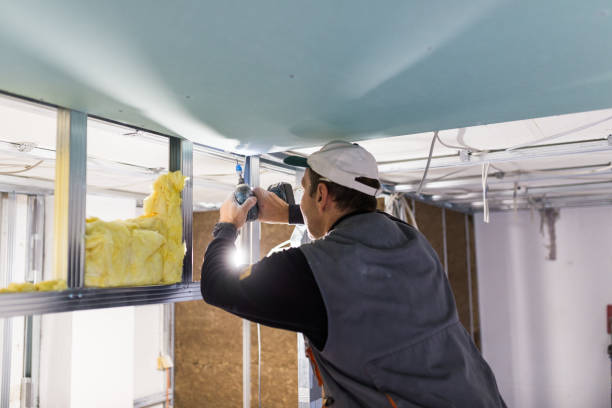 Best Spray Foam Insulation in Union Springs, AL